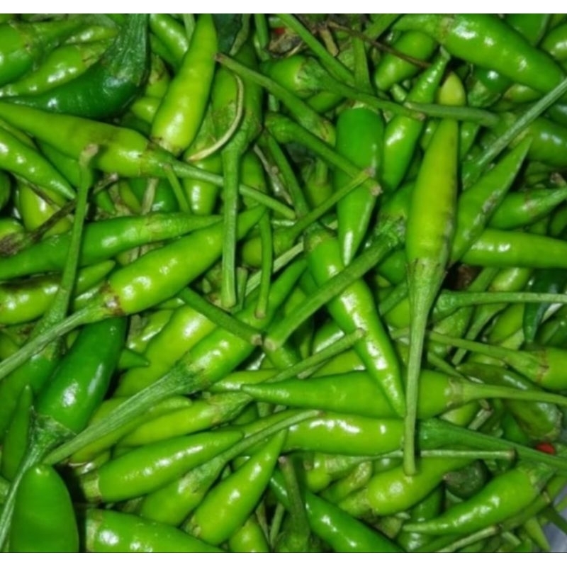 

cabe hijau- cabe lalap hijau 500gr