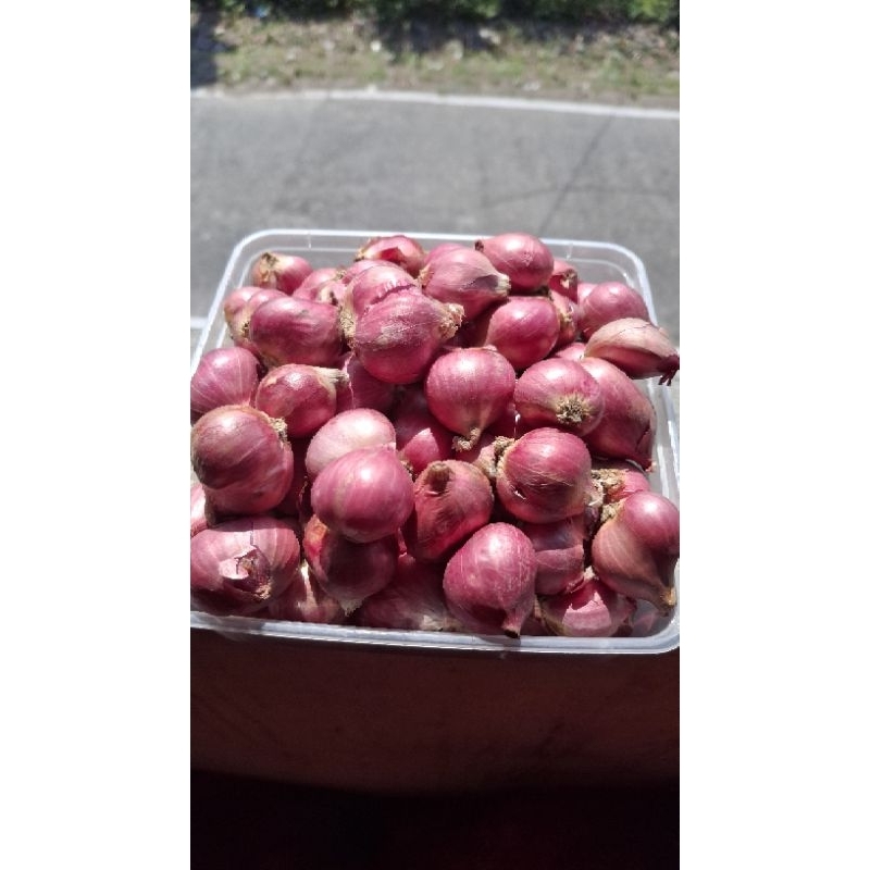 

Bawang Merah Super 1 kg