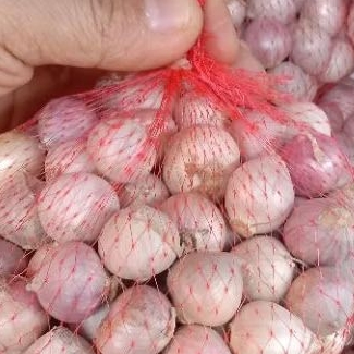 

BAWANG TUNGGAL MERAH 500GR