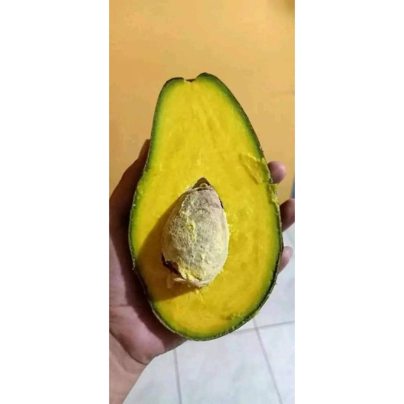 

alpukat