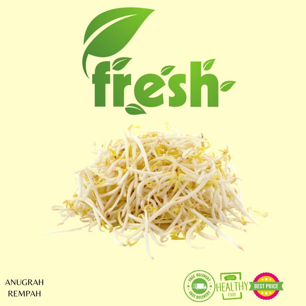 

Toge/Tauge Super 250 gram - 500 gram Anugrah Rempah
