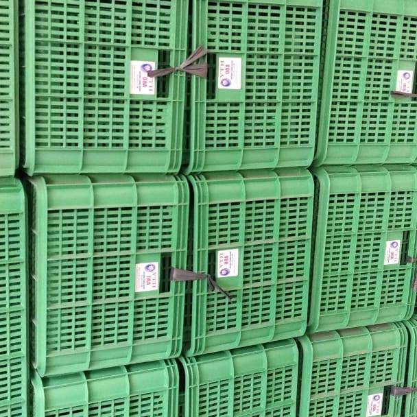 Stok Terbaru Keranjang YTH Keranjang Plastik Keranjang Industri