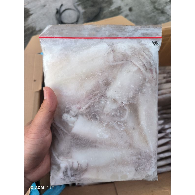 

Cumi-Cumi Kupas Size 3"-5"kemasan 500 gr
