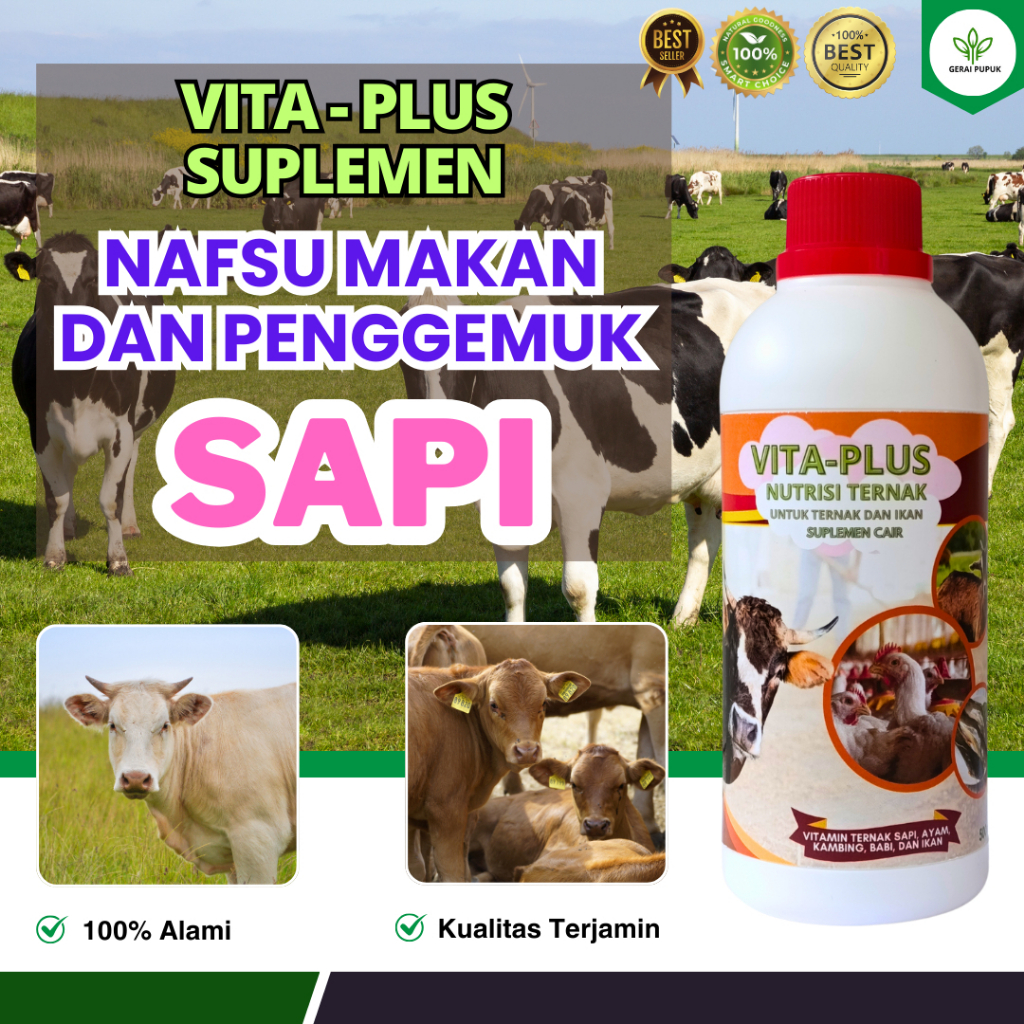 Vitamin Sapi Supaya Cepat Gemuk | Vitamin Sapi Biar Lahap Makan | Vitamin Sapi Biar Sehat Asli