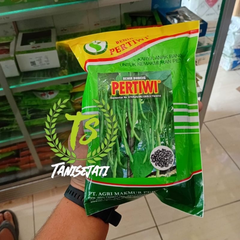 Benih Buncis Pertiwi
