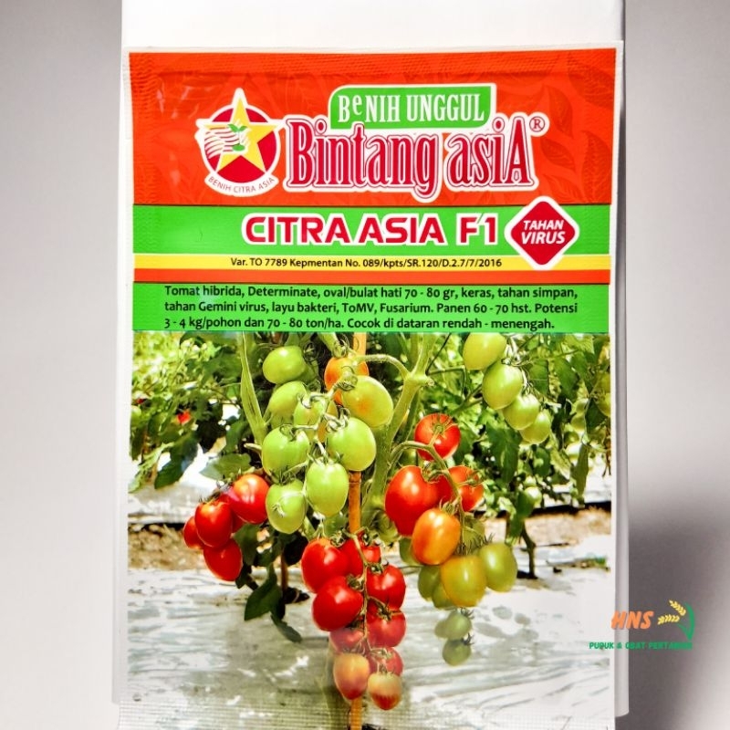Benih Tomat CITRA ASIA F1 5 GRAM | BINTANG ASIA