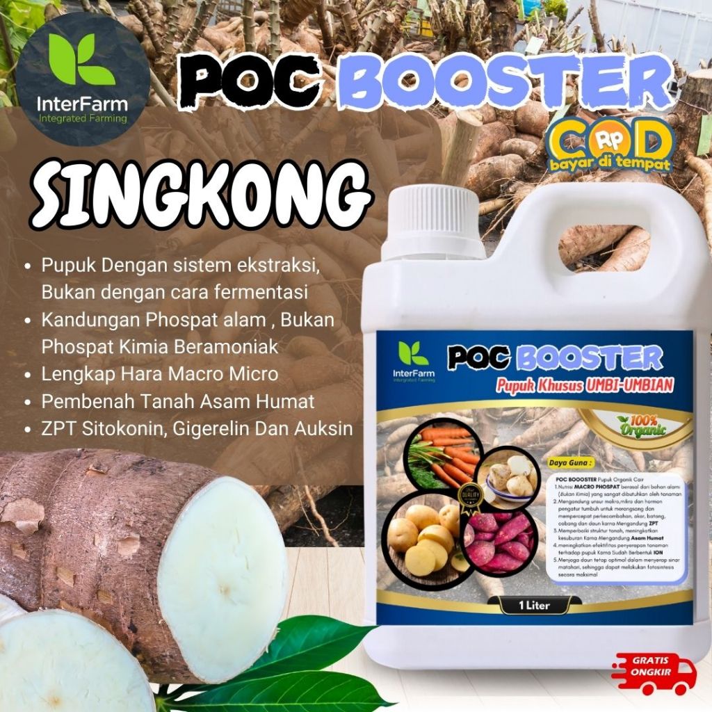 Pupuk pelebat buah singkong , Pupuk untuk tanaman singkong, Pupuk cair organik untuk INTERFARM