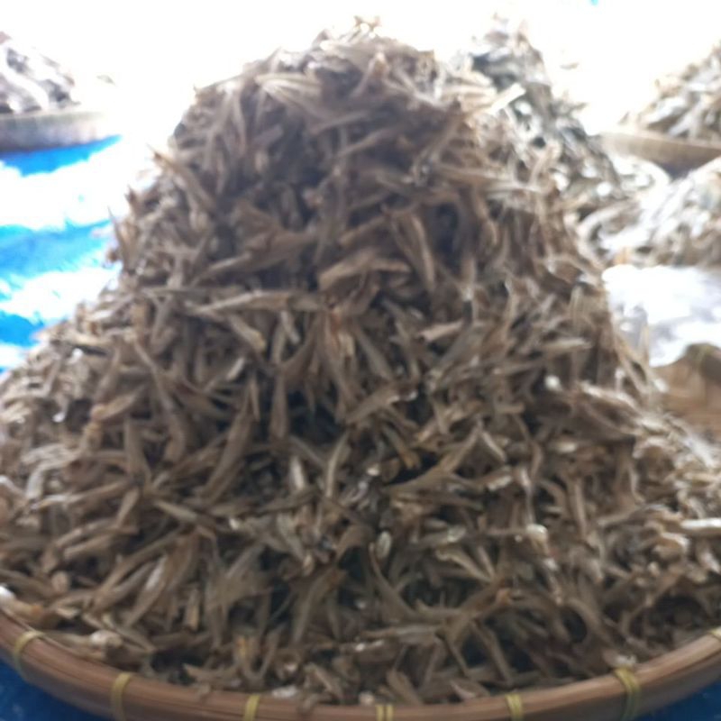 

Ikan teri