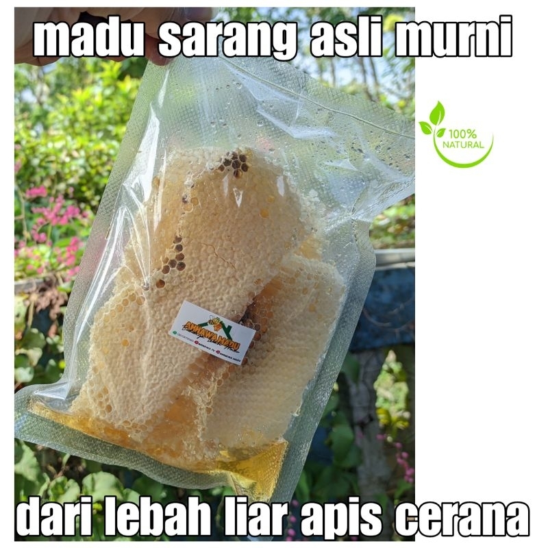 

madu sarang lebah liar apis cerana asli murni