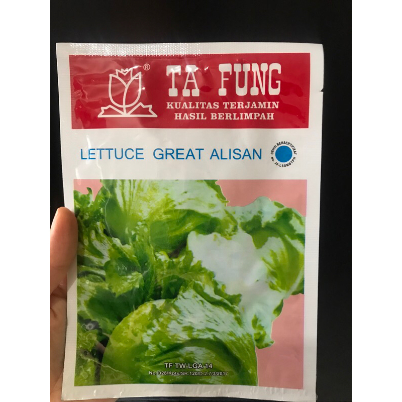 

Selada krop Tafung 10gr LETTUCE GREAT ALISAN 10 gram dari ta fung