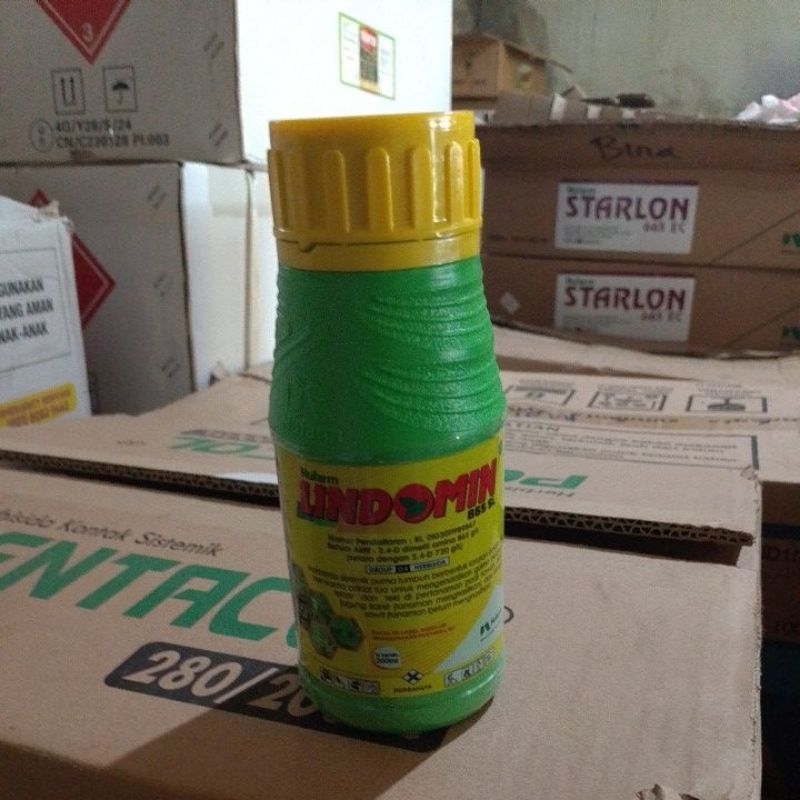 lindomin 200 ml