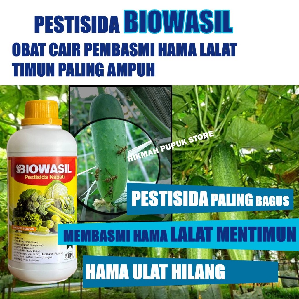 Pestisida untuk Hama Lalat Mentimun Paling Ampuh Obat Cair Semprot BIOWASIL Mengatasi Hama Lalat Tim