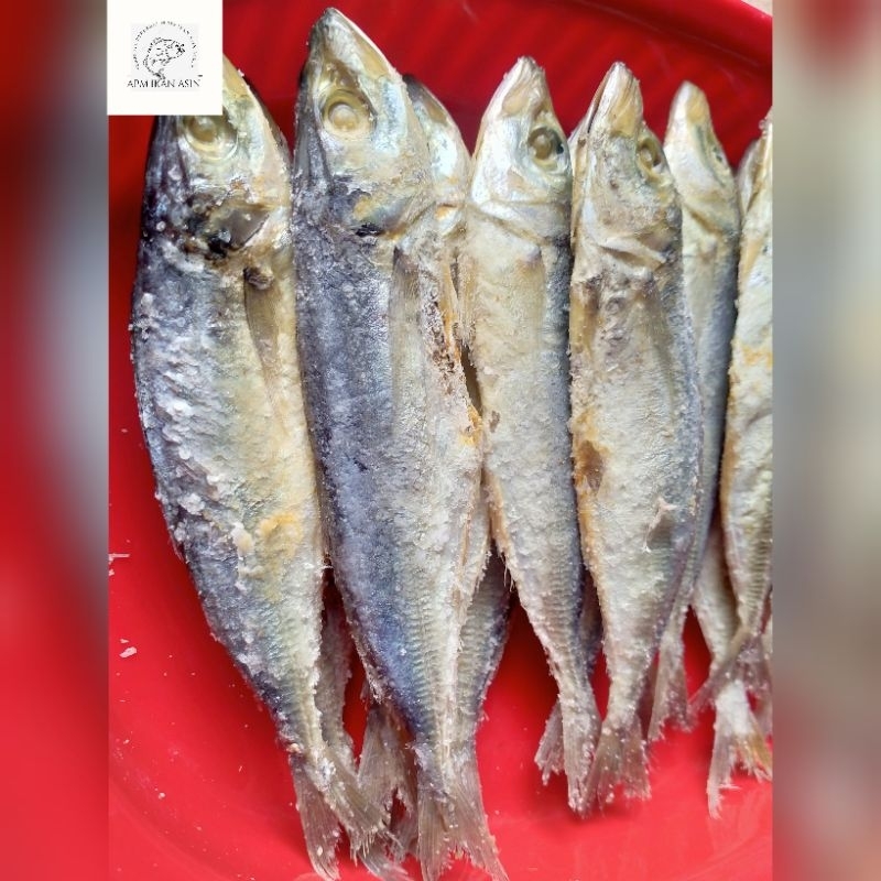 

ikan asin pedalayang