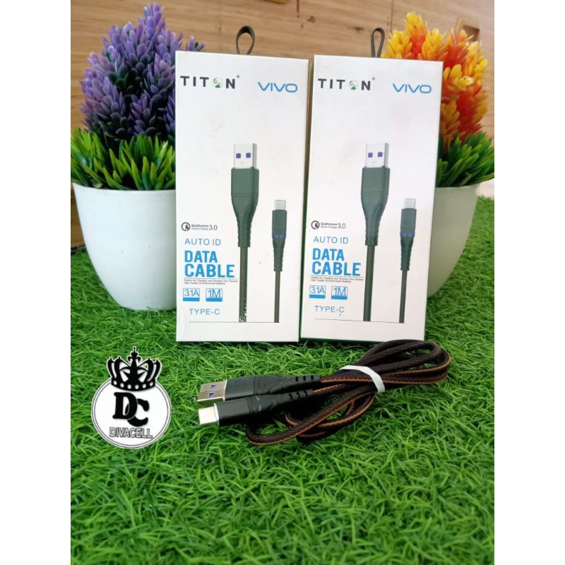 USB TITON ORI VIVO TYPE C