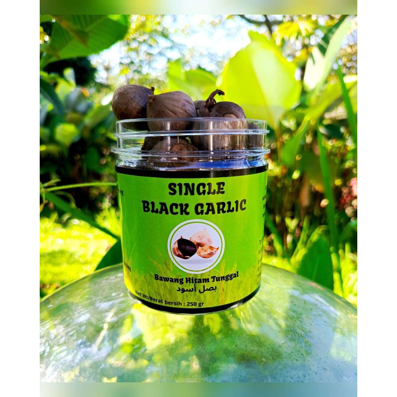 

Single Black Garlik 500Gram Bawang Hitam