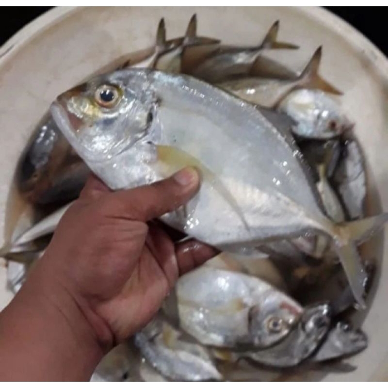 

ikan bakar kue segar