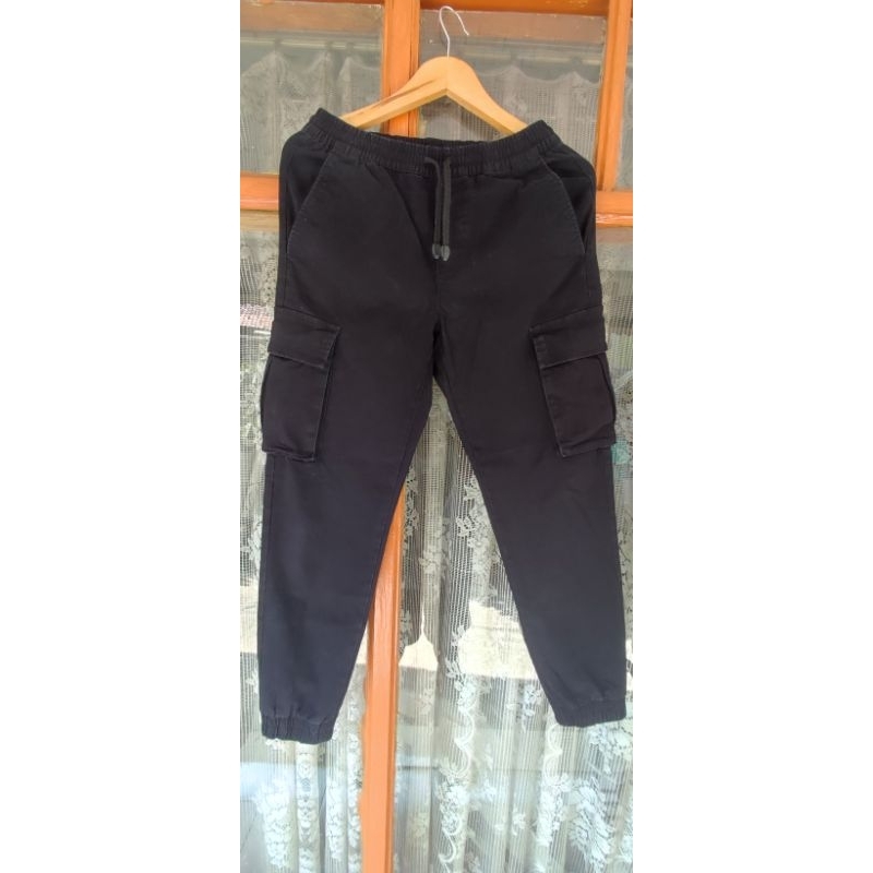 Cargo Jogger Dickies