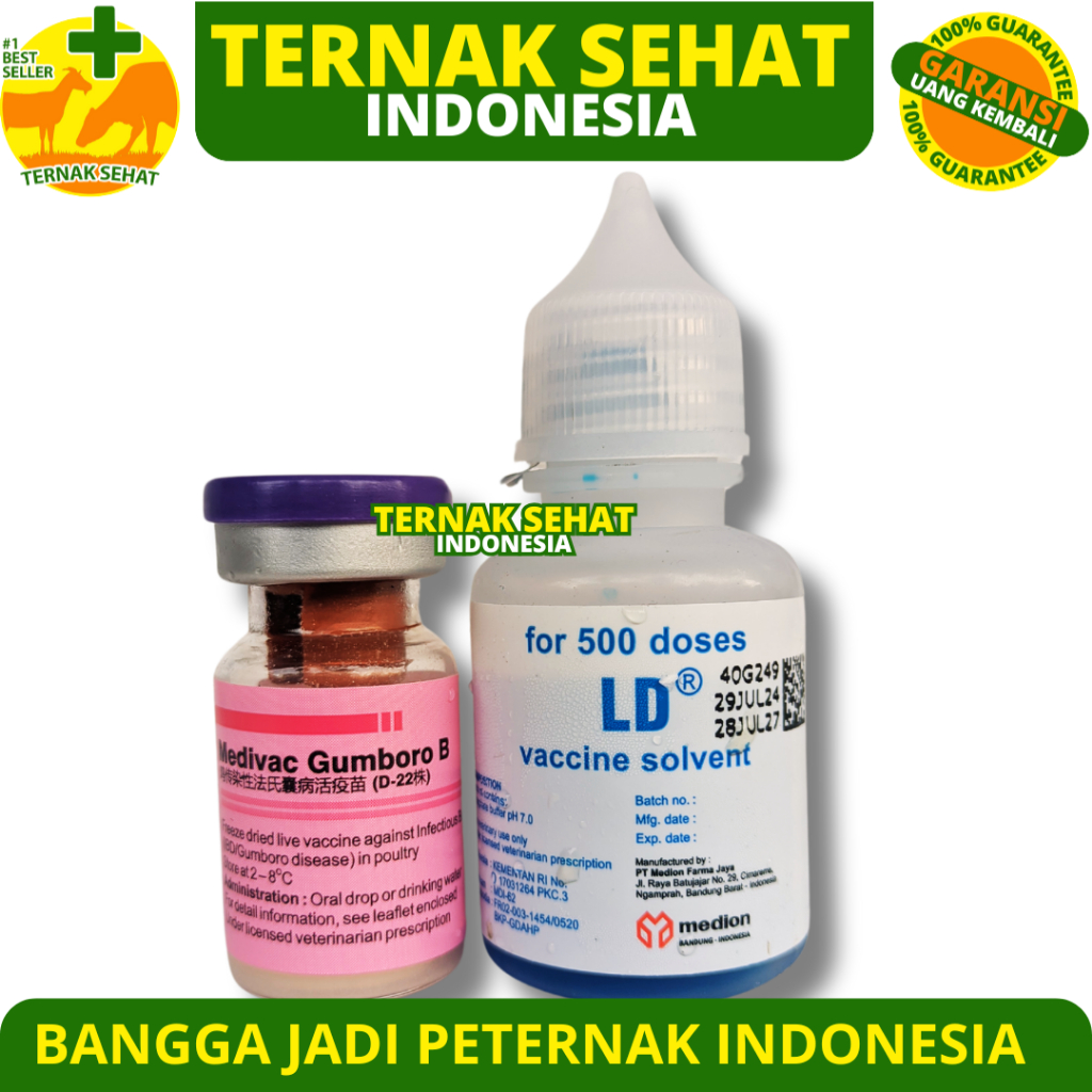 VAKSIN MEDIVAC GUMBORO B 500 DOSIS + PELARUT - Vaksin Gumboro IBD Aratan Ayam Burung Unggas