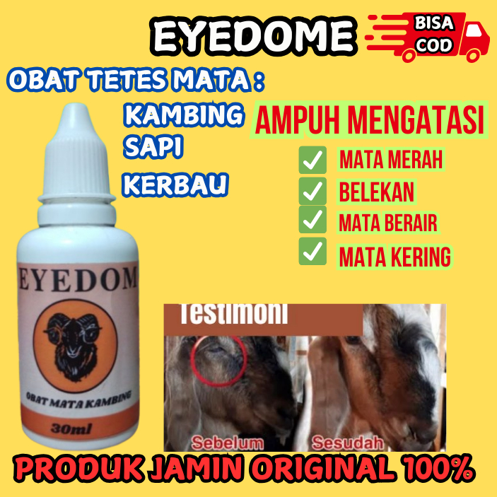 Obat Sakit Mata Kambing Sapi Kerbau EYEDOM Mengobati Belekan Bengkak Infeksi Mata Berair