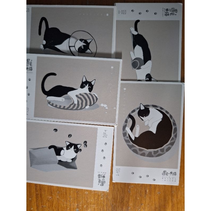 

5 kartu pos kucing/cat postcard
