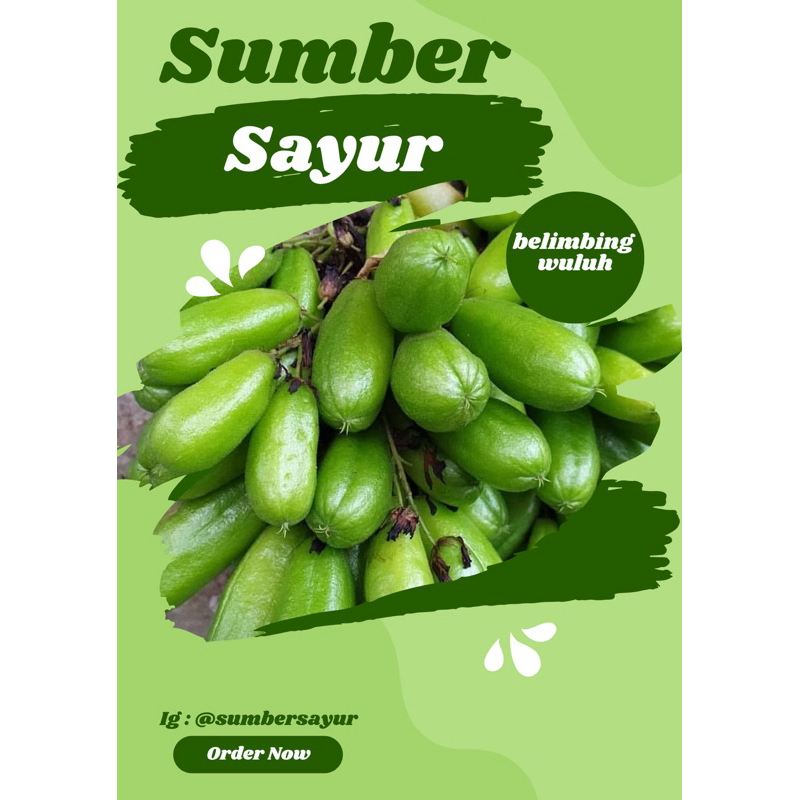 

belimbing wuluh sumber sayur segar murah Makassar