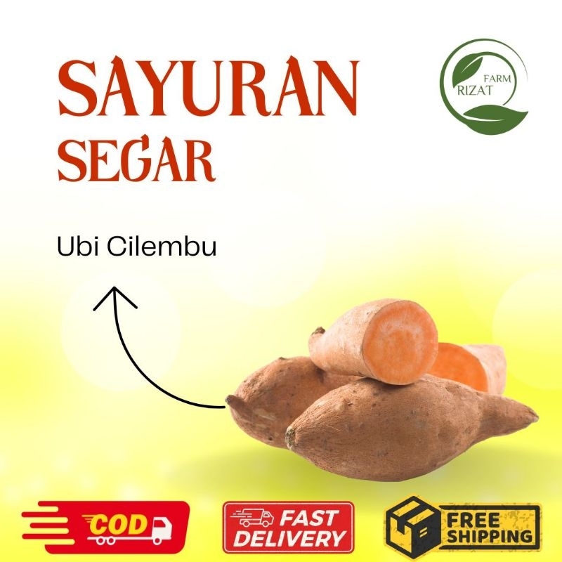 

[Dikiirim Instant] Ubi Madu Cilembu Manis Mentah 1Kg Kualiatas Premium