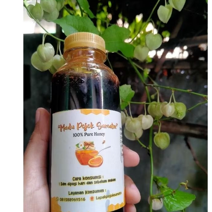 

Madu Pojok Sumatra