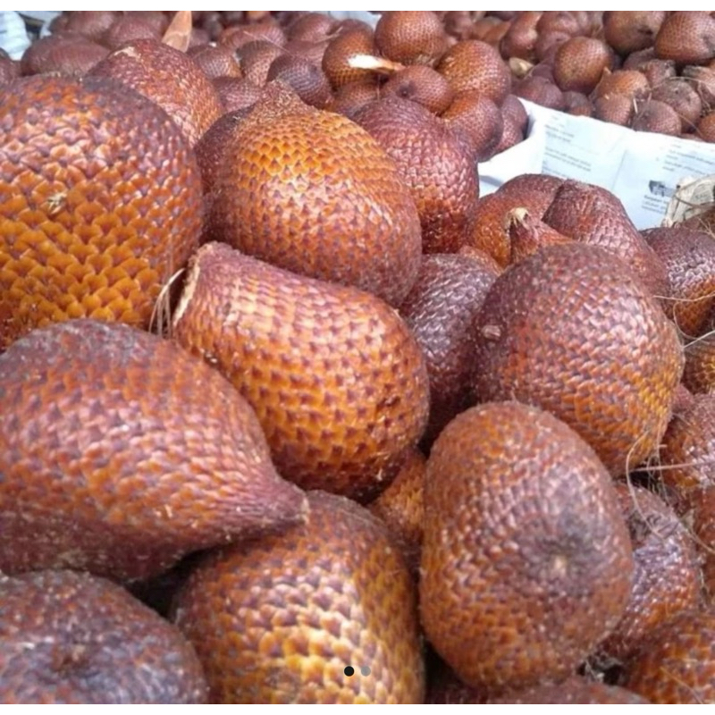 

Salak asli BALI rasanya mantap