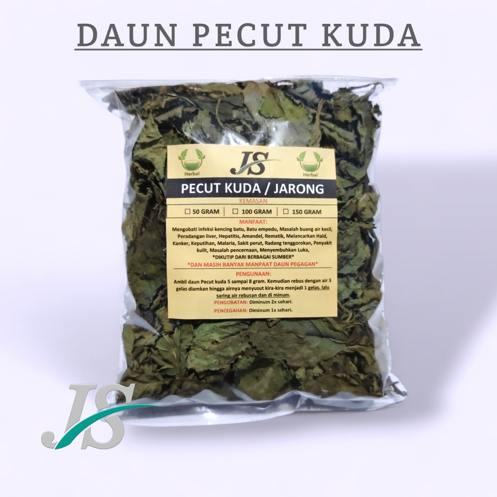 

Daun Pecut Kuda Kering ( 150 GRAM MURNI DAUN ) Jarong Herbal Alami