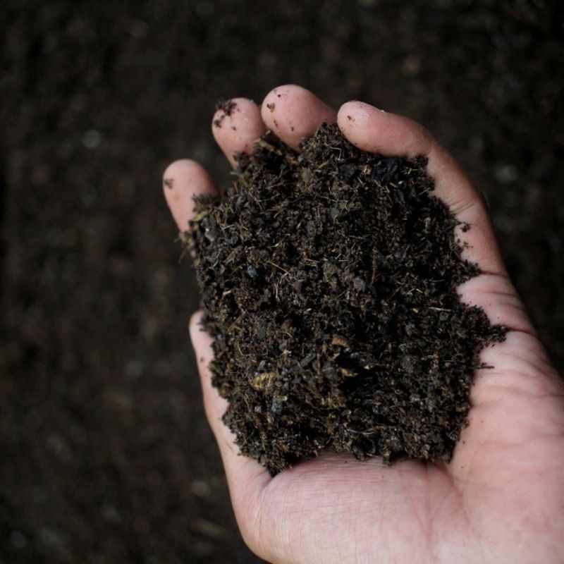 Pupuk fermentasi kotoran kambing halus murni