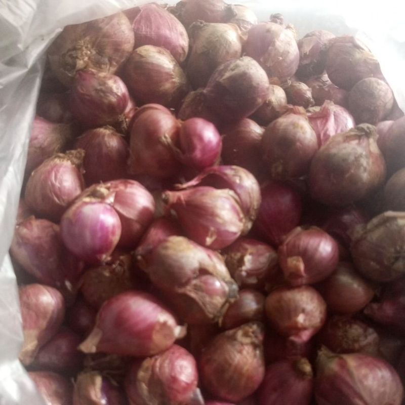 

Bawang merah Besar perkilo