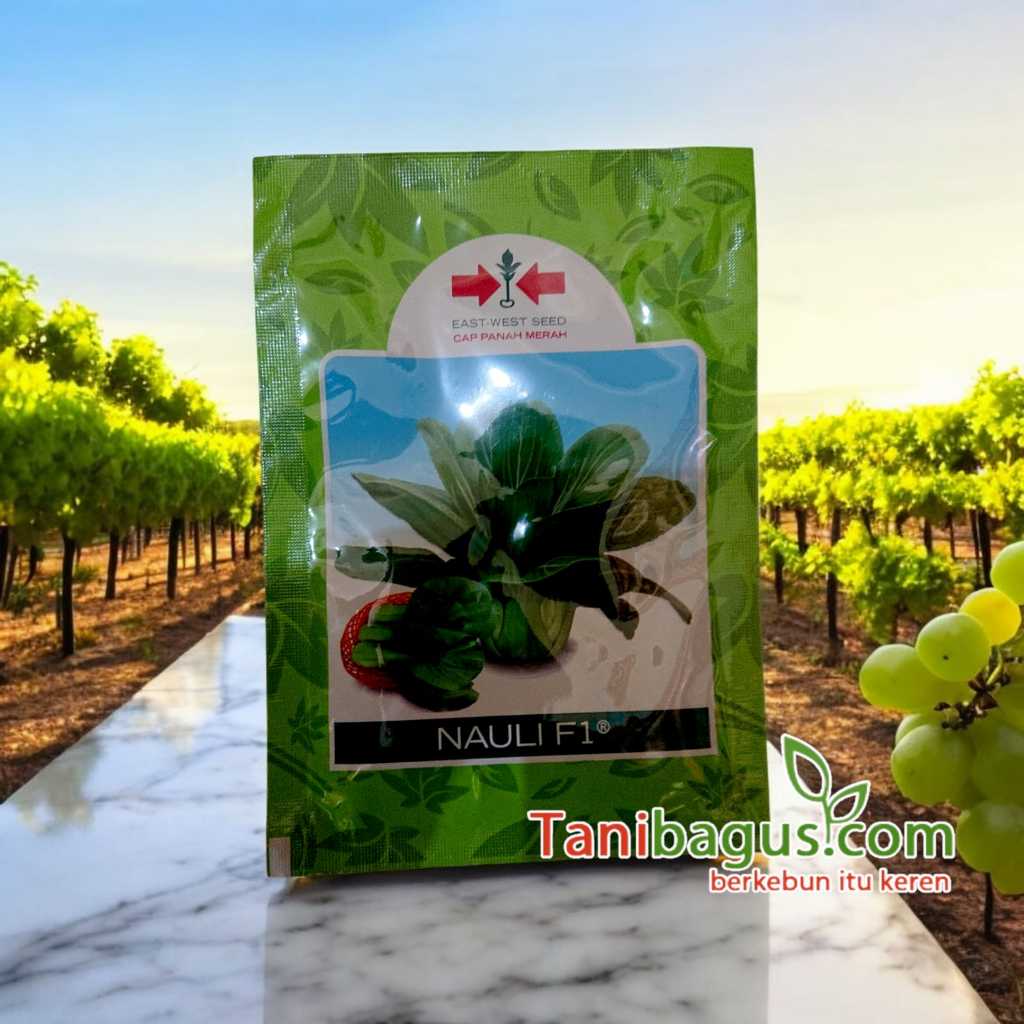BENIH PAKCOY NAULI F1 - 10 GRAM