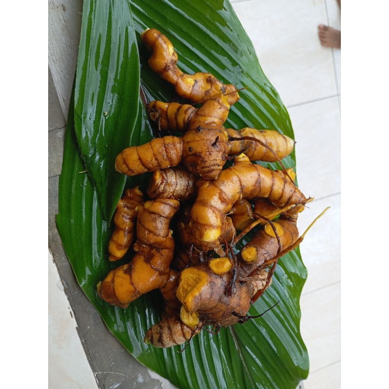 

temulawak atau koneng gede