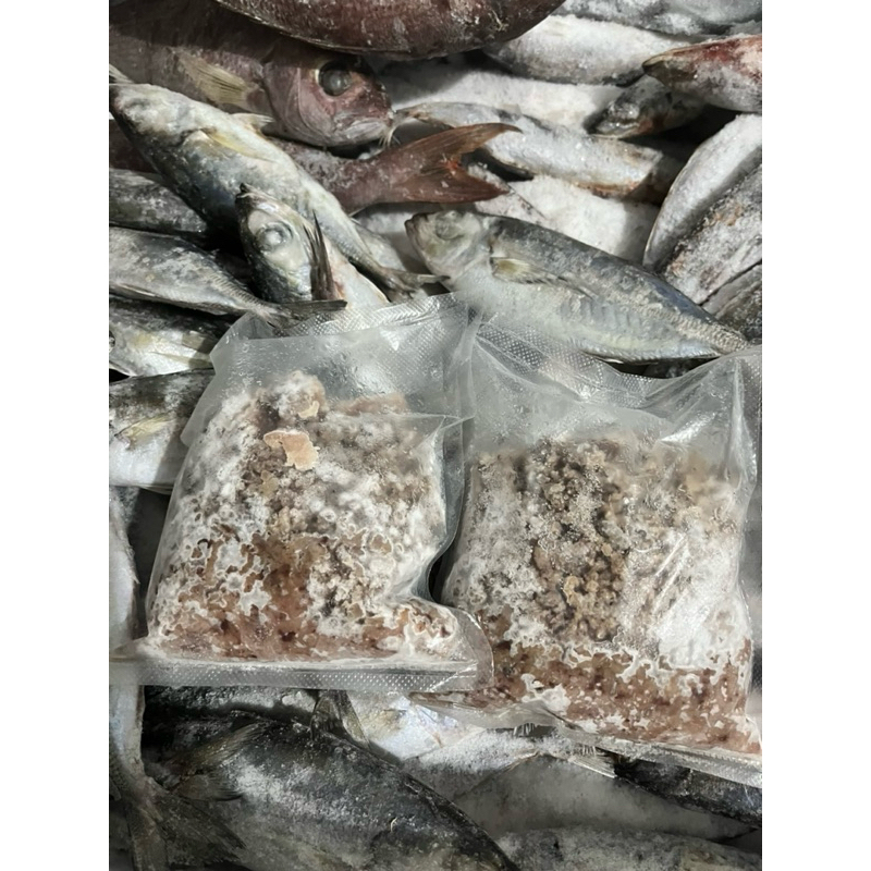 

MAM FROZEN SEA FISH - DAGING IKAN LAYANG/MAKELAR GILING