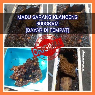 

Madu klanceng lanceng trigona kelulut teuweul itama laeviceps biroi incisa murni bergaransi bee tool