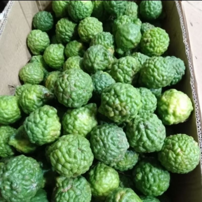 

Jeruk Purut Segar 500gram