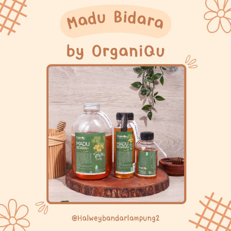 

[OrganiQu] Madu Bidara Premium 170gr , 315gr , 1000gr