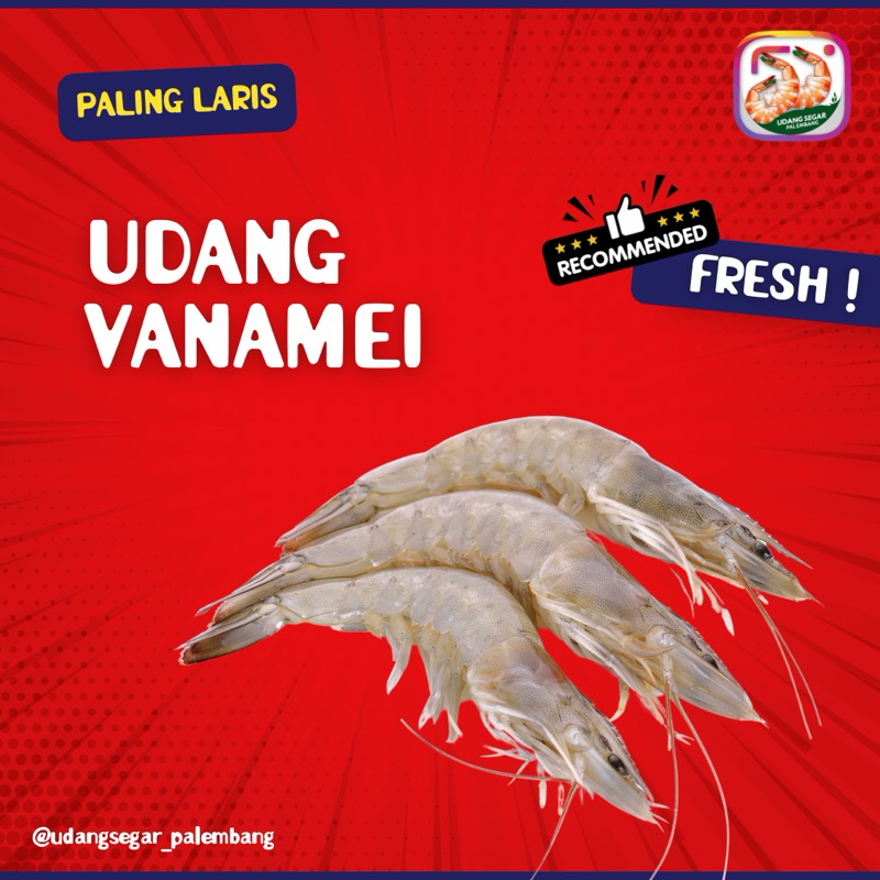 

Udang vaname fresh