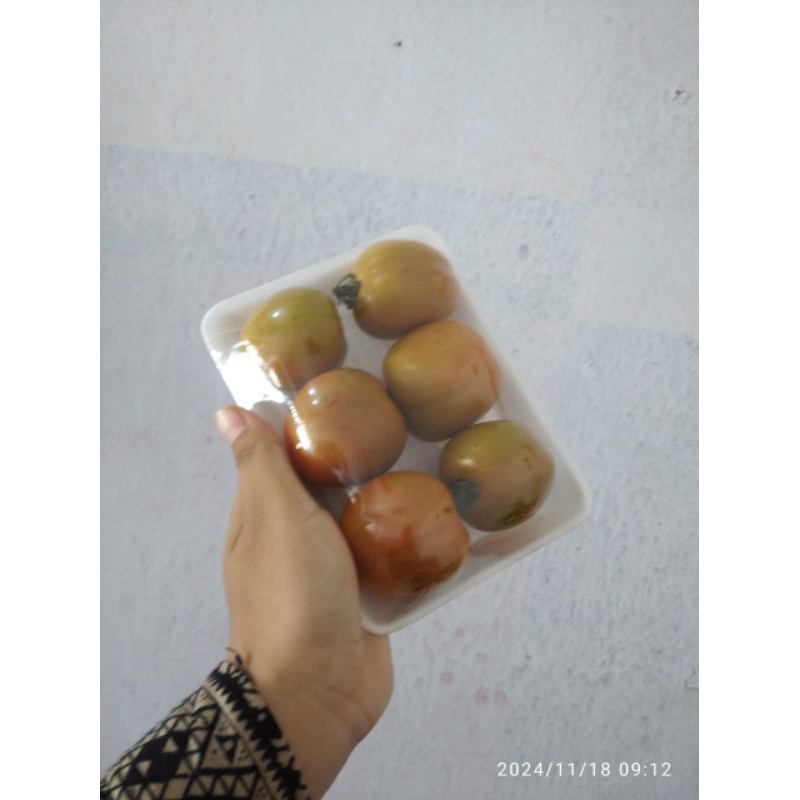 

Tomat isi 6