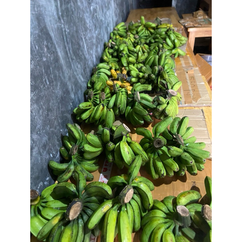 Pisang Kepok Papua Per sisir