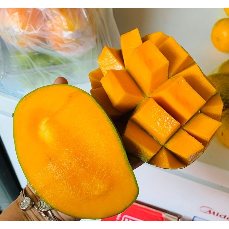 ManggaAlpukatBangil5KG