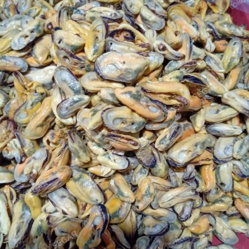 

kerang kupas 500gr