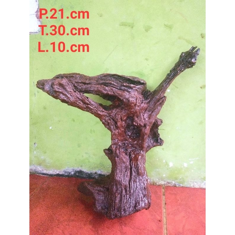 rentek kayu santigi akuascape