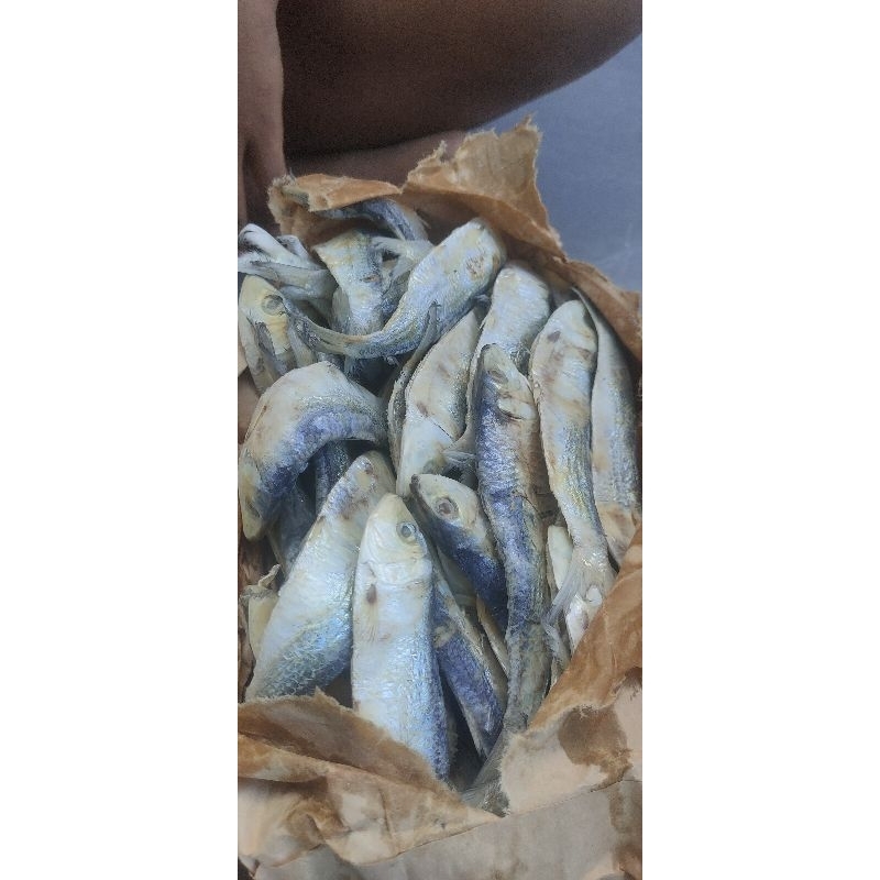 

Ikan Asin | Tamban Kualitas Super