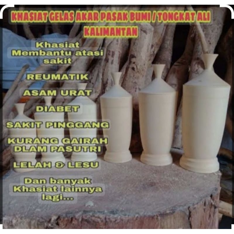 gelas kayu pasak bumi kalimantan