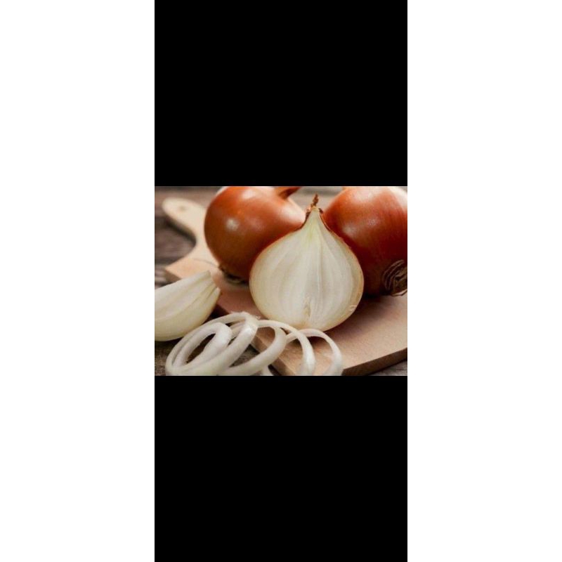 

bawang Bombay ukuran sedang bagus dan berkualitas super murah