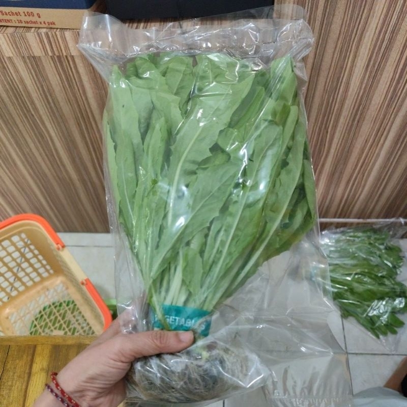 Siomak / selada wangi /sayur pandan Hidroponik