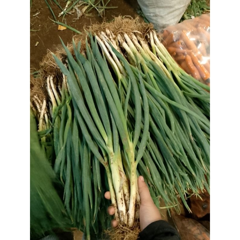 

Daun Bawang super 1000g