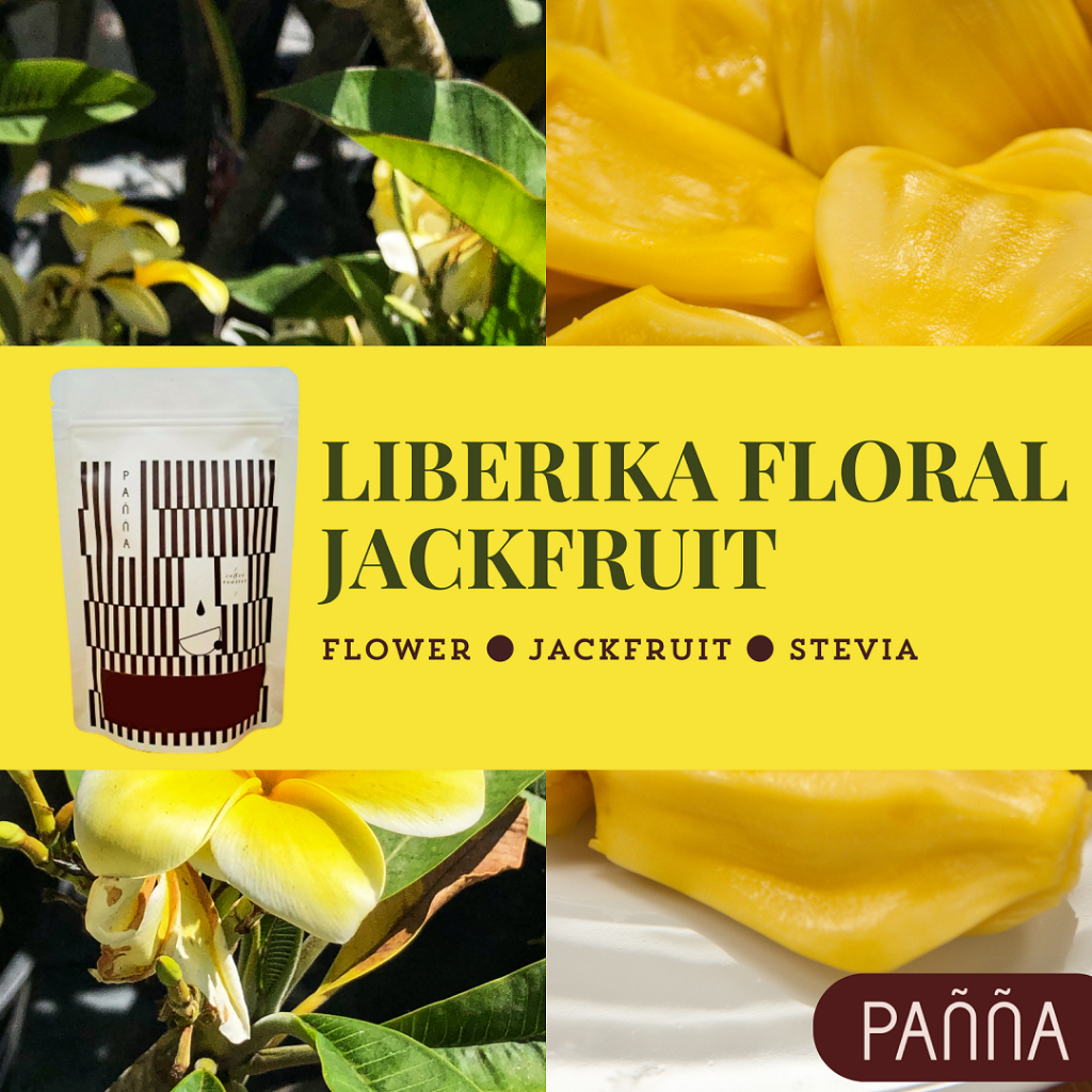 

Kopi Liberika Flower Jackfruit specialty