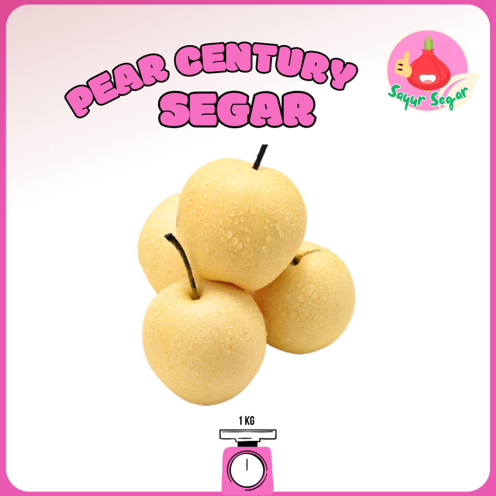 

Sayur Segar - Buah Pir Century Segar 1 kg / Pear Century